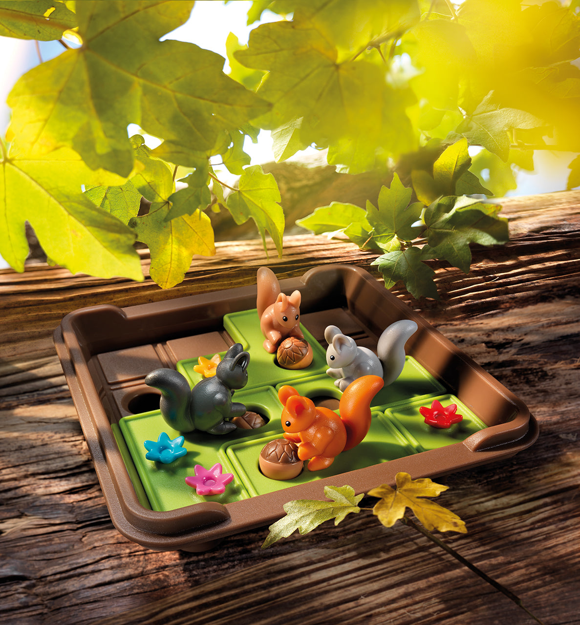 Squirrels Go Nuts! Travel Game for Ages 6+