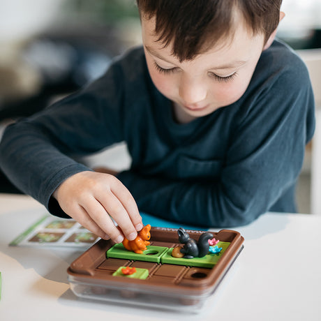 Squirrels Go Nuts! – Sliding Puzzle Logic Game with 60 Challenges | Brain Teaser Kids and Adults Ages 6+